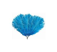 Neel Blue 5pcs Ostrich Feathers, Natural Plume, 35cm - 40cm in Turquoise Neel Blue Turquoise