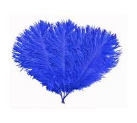 Neel Blue 5Pcs Royal Blue Ostrich Feather Plume, Natural Feather Fringe, 35Cm-40Cm