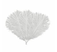 Neel Blue 5Pcs White Ostrich Feather Plume, Natural Feather Fringe, 35Cm-40Cm