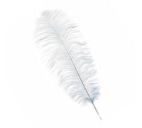 Neel Blue Baby Blue 50-60 Cm Natural Ostrich Feathers Large Plume, 5Pcs