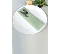 Neel Blue Cotton Polyester Napkins with Hemmed Edges, 20 Inch in Pale Green Neel Blue Pale Green