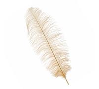 Neel Blue Gold 50-60 Cm Natural Ostrich Feathers Large Plume, 5Pcs
