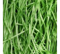 Neel Blue Green Shredded Paper, 500G Soft Cushioning Tissue Paper