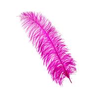 Neel Blue Hot Pink 50-60 Cm Natural Ostrich Feathers Large Plume, 5Pcs