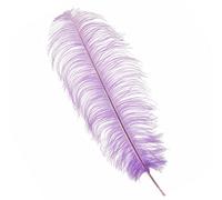 Neel Blue Light Lilac 50-60 Cm Natural Ostrich Feathers Large Plume, 5Pcs