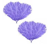 Neel Blue Light Lilac Ostrich Feather Plume, 10Pcs Natural Feather Fringe, 35-40 Cm