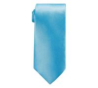 Neel Blue Men's Satin Polyester Slim Neck Tie in Aqua Neel Blue Aqua One Size
