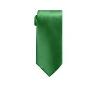 Neel Blue Men's Satin Polyester Slim Neck Tie in Jade Neel Blue Jade One Size