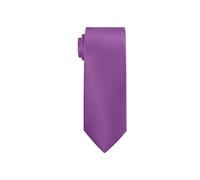 Neel Blue Men's Satin Polyester Slim Neck Tie in Lavender Neel Blue Lavender One Size