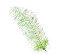 Neel Blue Mint 50-60 Cm Natural Ostrich Feathers Large Plume, 5Pcs