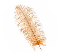 Neel Blue Orange 50-60 Cm Natural Ostrich Feathers Large Plume, 5Pcs