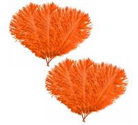 Neel Blue Orange Ostrich Feather Plume, 10Pcs Natural Feather Fringe, 35-40 Cm