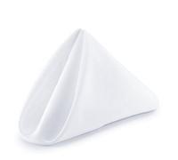Neel Blue Polyester Table Napkin - White - 50Cm X 50Cm