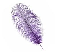 Neel Blue Purple 50-60 Cm Natural Ostrich Feathers Large Plume, 5Pcs