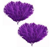 Neel Blue Purple Ostrich Feather Plume, 10Pcs Natural Feather Fringe, 35-40 Cm