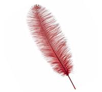 Neel Blue Red 50-60 Cm Natural Ostrich Feathers Large Plume, 5Pcs