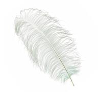 Neel Blue Silver 50-60 Cm Natural Ostrich Feathers Large Plume, 5Pcs