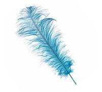 Neel Blue Turquoise 50-60 Cm Natural Ostrich Feathers Large Plume, 5Pcs