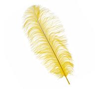 Neel Blue Yellow 50-60 Cm Natural Ostrich Feathers Large Plume, 5Pcs