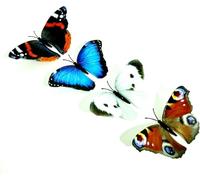Neel Saanjh 4x Multicolour Garden Butterflies, Stable and Beautiful, Ensure Long-Lasting Use, Versatile Clip Design, Easy to Clean, Broad Spectrum of Settings, Indoor and Outdoor Use