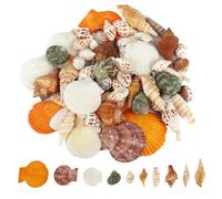 Neerow Sea Shells Mixed, 80 pcs Natural Seashells, 2-9 cm Shells for Crafting, Vase Fillers, Fish Tank, DIY Crafts, Beach Themed Party, Home, Wedding Decorations