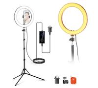 NEEWER 10" 20W High Power LED Ring Light for Phone with 71" Tripod Stand, Bi Color Ringlight, Phone Holder Compatible with iPhone for Video Recording Selfie Makeup Studio Live Streaming TikTok, RH10B