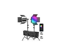 NEEWER 2 Pack 660 PRO II LED Video Light Stand Kit