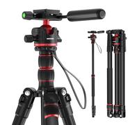 NEEWER 77" Camera Tripod Monopod with 360° Ball Head & Arca Type QR Plate, Compact Aluminum Lightweight Travel DSLR Video Tripod Stand with Reversible Legs & Inverted Central Axis, 13lb Max Load, TP08