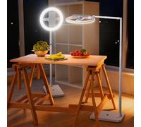 NEEWER ENTRY LEVEL VERSION 10" 7W LED Ring Light with Stand/Phone Holder Mount/3 Color Modes, 69" Telescopic Selfie Ringlight, Lighting for iPhone Streaming Makeup Lash Studio Video Recording, N18