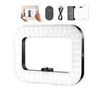 NEEWER ENTRY LEVEL VERSION Phone Video Rig with Light, Handheld Stabilizer with 20W Bi Color LED Square Ring Light, 3 Cold Shoes/5200mAh Battery/CRI80+ for Selfie Streaming Vlog Recording, NL200B