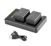 NEEWER Replacement Battery and Charger Set for VW-VBT190, 2 Pack 1950 mAh Batteries and Dual USB Charger, Compatible with Panasonic HC-V110 V130 V160 V180 HC-V201 V210 V250 HC-V380 HC-V510 V520 V550