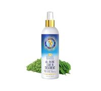 Nefertiti's Secrets All in One Leave in Treatment 8oz