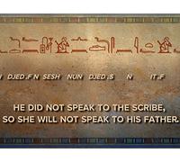 Negation in Ancient Egyptian Sentences