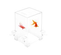 Negative Pressure Fish Tank, Transparent Acrylic Inverted Aquarium, Floating Vacuum Suspended Design, Auto Refill & Water Level Maintenance, Extra Activity Space for Fish, Modern Home Decor