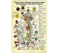 NEGLAI Taoist inner Alchemy Anatomy Chart Knowledge Metal Signs Poster, Vintage Decorations Wall Art Decor 16x12 Inches