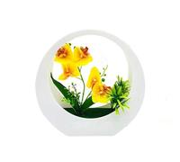 NEIQIUWING Artificial Phalaenopsis Moon Shape Wall Mounted Potted Plant