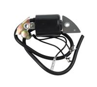 NEIQIUWING Easy Installation, Engine Performance, Robust Conditions, Metal Material, Reliable Ignition Coil, Accessory Efficiency