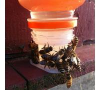 NEIQIUWING Pack of 3 White Plastic Bee Water Dispensers - Inner Diameter 27mm