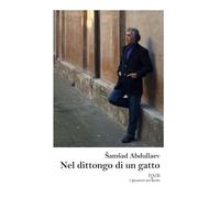 NEL DITTONGO DI UN GATTO (la Collana di Paolo Galvagni per iQdB edizioni)