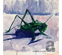 Nellcote - Nellcote - Disturbance In A Quiet Summer Night
