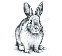 Nellie's Choice Clear Stamp Rabbits 1 Pc - Scrapbooking, Stamping and Card Making Supplies - Silicone Stamps for Crafting - Compatible with Acrylic Stamp Block and Stamping Platform