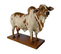 Nelore-Bull Liquor Dispenser, Handcrafted Brazilian Charm Decanter with Stable Base, Whisky Dispenser, Wine Aerator Pourer Spout, for Your Home-Bar, for Vodka Wine