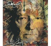 NELSON, Willie - Last Leaf Of The Tree - AMBER SWIRL VINYL 2XLP