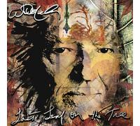 Nelson Willie - Last Leaf On The Tree