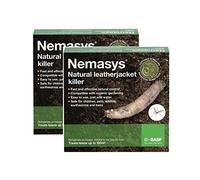 Nemasys Leatherjacket Killer nematode treatment (200 sqm)