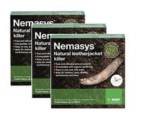 Nemasys Leatherjacket Killer nematode treatment (300 sqm)