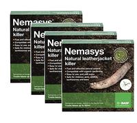 Nemasys Leatherjacket Killer nematode treatment (400 sqm)