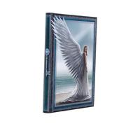 Nemesis Now Anne Stokes A5 Gothic Fantasy Journals 17cm - Hardback Writing Notebooks (Spirit Guide)