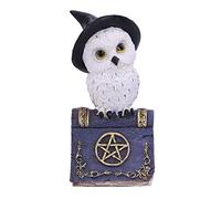 Nemesis Now Avian Spell Owl Figurine Purple 12.5cm, Resin, Blue Avian Spell Figurine, Witch Owl Figurine, Perfect Addition to Any Witchcraft Collection, Cast in the Finest Resin, Expertly Hand-Painted