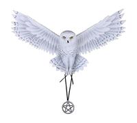 Nemesis Now Awaken your Magic Anne Stokes Wall Plaque 45cm White, Resin, One Size